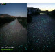 Elementy fluorescencyjne 1kg -5kg