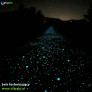 Elementy fluorescencyjne 1kg -5kg