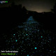 Elementy fluorescencyjne 1kg -5kg